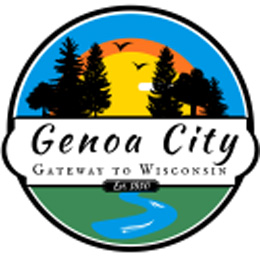 Fireplace Inspections In Genoa City, WI