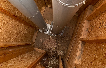 Chimney System During Inspection