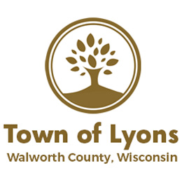 Chimney Repair In Lyons, WI